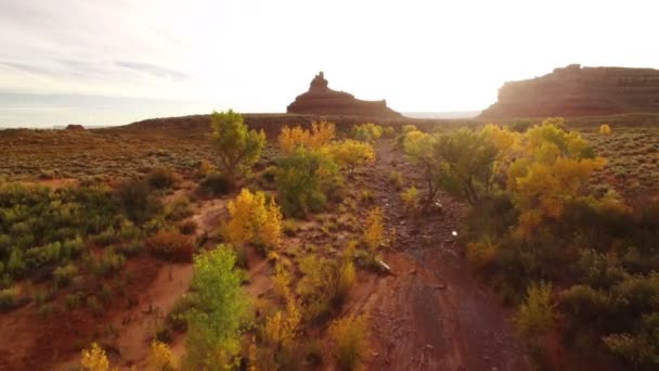 Valley God Autumn Foliage Aerial Shot Southwest Desert Usa Forward — Stock video