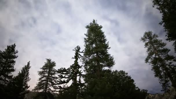 Estrellas Las Nubes Time Lapse San Gabriel Mountains National Monument — Vídeo de stock