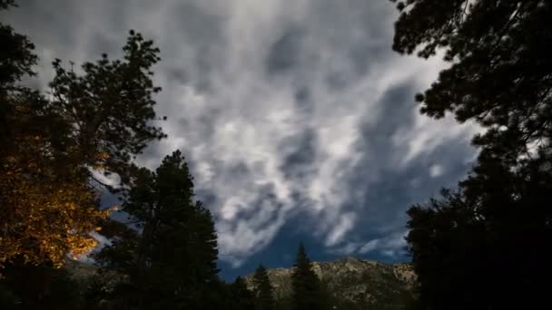 Estrellas Nubes Sobre Camping San Gabriel Mountains National Monument California — Vídeos de Stock