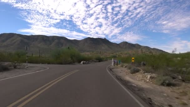 Plantilla Conducción Del Cañón Del Desierto Sonora Saguaro Cactus Arizona — Vídeos de Stock
