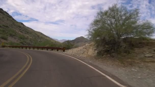 Sonoran Çöl Dağı Şablonu Saguaro Kaktüsü Arizona Abd — Stok video