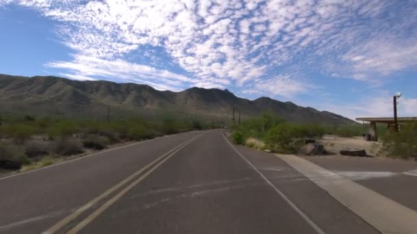 Plantilla Conducción Del Cañón Del Desierto Sonora Saguaro Cactus Arizona — Vídeos de Stock
