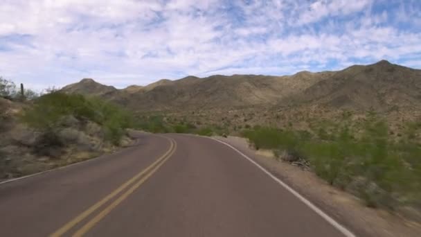 Sonoran Desert Mountain Driving Template Saguaro Cactus Arizona Usa — Stock Video