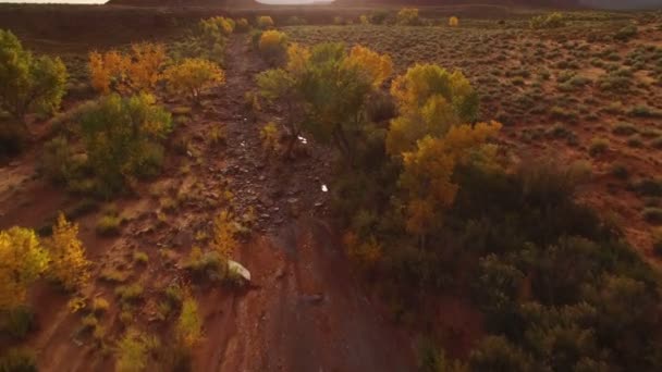 Tal Des Gottes Herbst Laub Luftaufnahme Südwest Wüste Usa Flussüberflug — Stockvideo