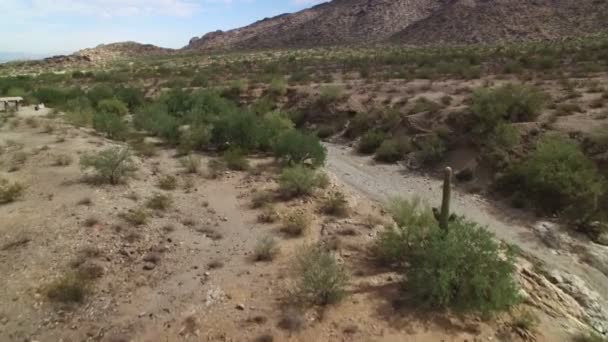 Saguaro Cactus Sonoran Desert Aerial Shot Arizona Eua Área Piquenique — Vídeo de Stock