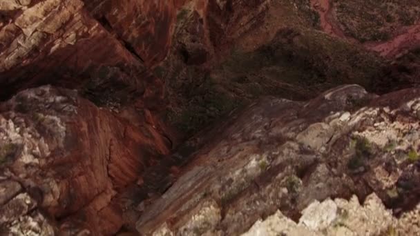 Grand Canyon Luchtfoto Little Colorado River Gorge Navajo Nation Bird — Stockvideo