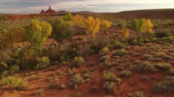 Sonbahar Yeşilliği Havadan Çöl Kanyonu Günbatımı Nehir Zleme Sola — Stok video