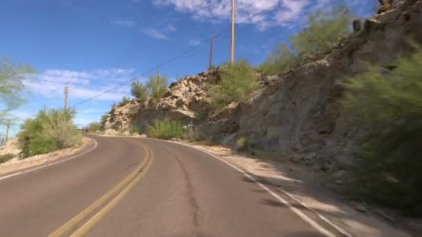 Sonoran Desert Mountain Körmall Saguaro Cactus Arizona Usa — Stockvideo