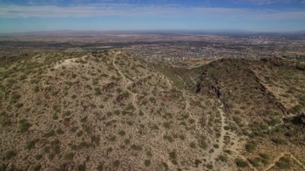 Phoenix Mountains Aerial Shot Saguaro Cactus Στην Αριζόνα Ηπα Πετούν — Αρχείο Βίντεο