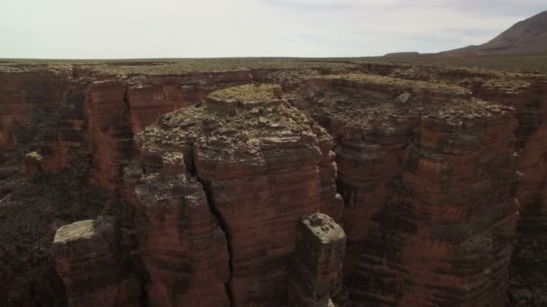 Grand Canyon Aerial Shot Little Colorado River Gorge Navajo Nation — Stock video