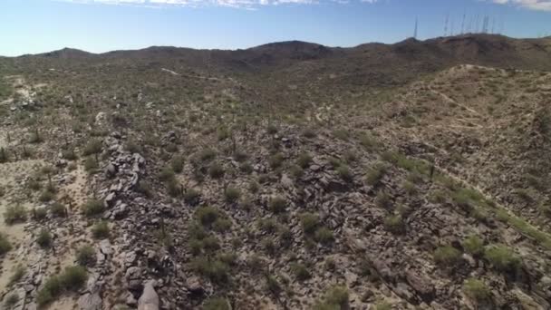 Phoenix Mountains Aerial Shot Saguaro Cactus in Arizona Amerikai Egyesült Államok Forward Fly Over Rocks