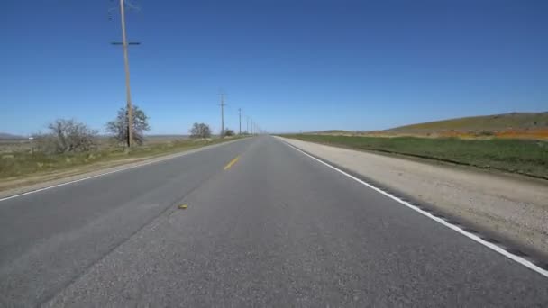 Antelope Valley Califórnia Poppy Super Bloom Driving Template — Vídeo de Stock