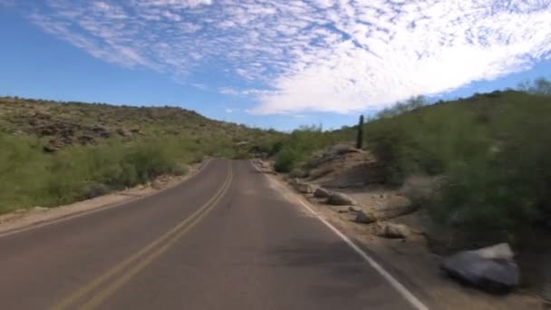 Sonoran Desert Mountain Driving Template Saguaro Cactus Arizona Usa — Stock Video