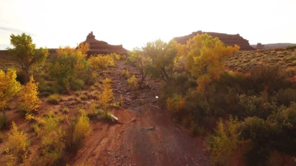 神の谷秋の紅葉空中ショット南西部砂漠Usa木を飛ぶ — ストック動画
