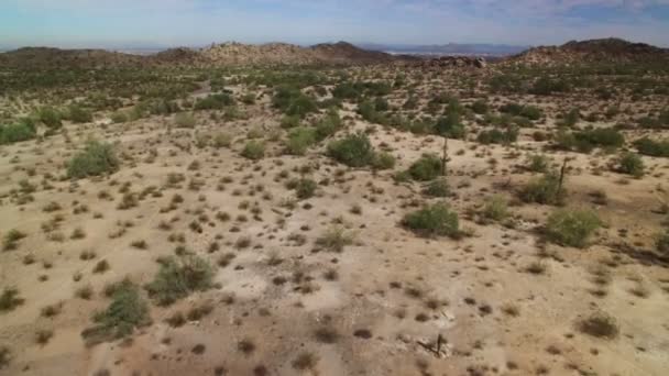 Saguaro Cactus Sonoran Desert Aerial Shot Arizona Usa Forward Highway — Video Stock
