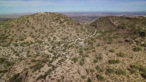 Phoenix Hor Aerial Shot Saguaro Kaktus Arizoně Usa Elevate Reveal — Stock video