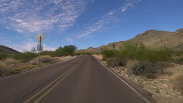 Plantilla Conducción Del Cañón Del Desierto Sonora Saguaro Cactus Arizona — Vídeo de stock