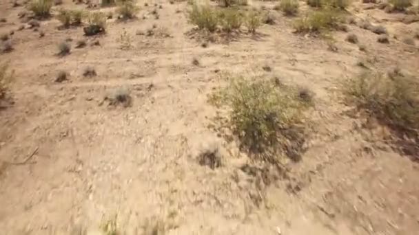 Самая Большая Мире Солнечная Тепловая Электростанция Воздушный Выстрел Mojave Пустыни — стоковое видео