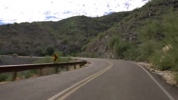 Sonoran Desert Mountain Körmall Saguaro Cactus Arizona Usa — Stockvideo