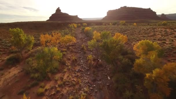 Vallée Dieu Automne Feuillage Tir Aérien Désert Sud Ouest États — Video