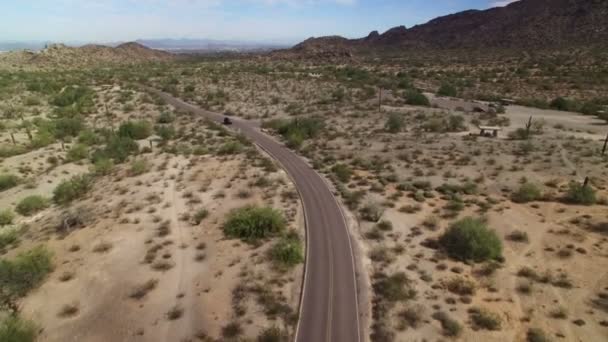 Cactus Saguaro Sonora Desert Aerial Shot Arizona Usa Highway Fly — Vídeos de Stock