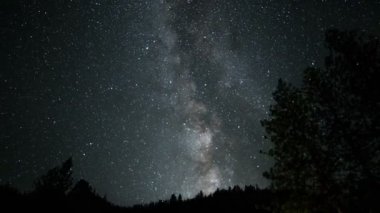 Yosemite Ulusal Parkı Samanyolu Galaksisi Alp Ormanı California ABD
