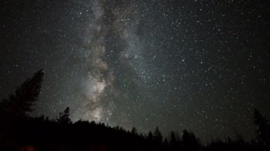 Yosemite Ulusal Parkı Samanyolu Galaksisi Alp Ormanı California ABD