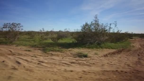 Templat Kendaraan Dengan Axis Stabilizer Desert Dirt Road View Savanna — Stok Video