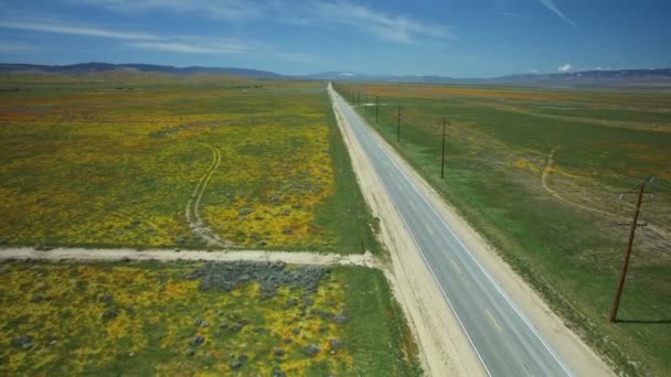 Çiçek Tarlası Havacılık Kuruluşu Otoyolu Lkbaharda Kırsal Alanı Kaliforniya Abd — Stok video