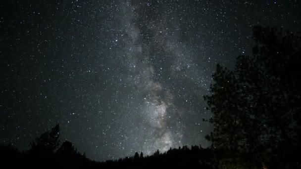 Parque Nacional Yosemite Vía Láctea Galaxy Time Lapse Alpine Forest — Vídeo de stock