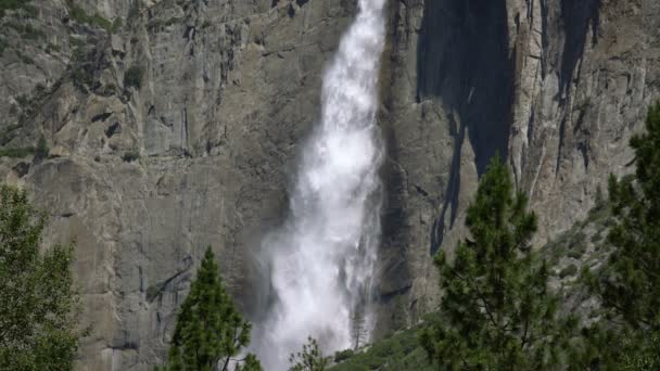 Yosemite National Park Yosemite Falls Spring Season Καλιφόρνια Ηπα Royalty Free Βίντεο Αρχείου