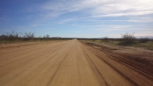 Driving Template Axis Stabilizer Desert Dirt Road African Savanna Mid — Stock Video