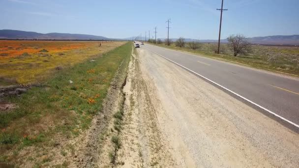 加州春季美国花卉田中的公路建设 — 图库视频影像