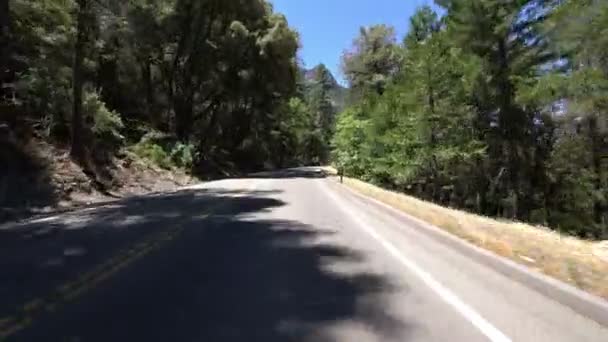 Yosemite Εθνικό Πάρκο Πρότυπο Οδήγησης Βουνά Πευκοδάσος Καλιφόρνια Ηπα — Αρχείο Βίντεο