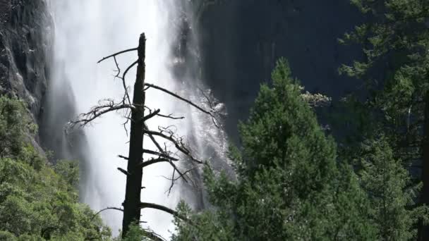 Yosemite National Park Bridalveil Fall Vårsäsongen Kalifornien Usa — Stockvideo