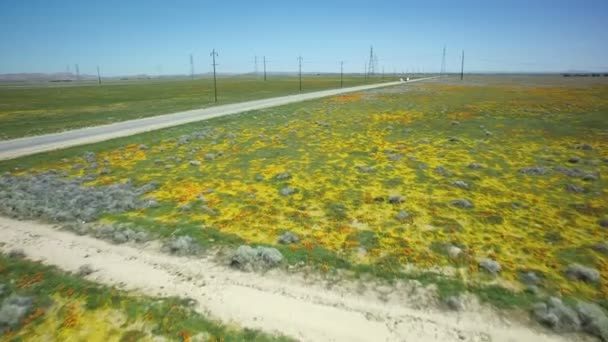 Çiçek Tarlası Havacılık Kuruluşu Otoyolu Lkbaharda Kırsal Alanı Kaliforniya Abd — Stok video