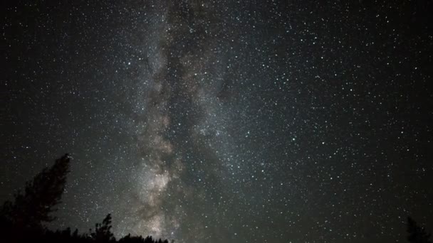 Parque Nacional Yosemite Láctea Galaxy Time Lapse Alpine Forest Sky — Vídeo de Stock