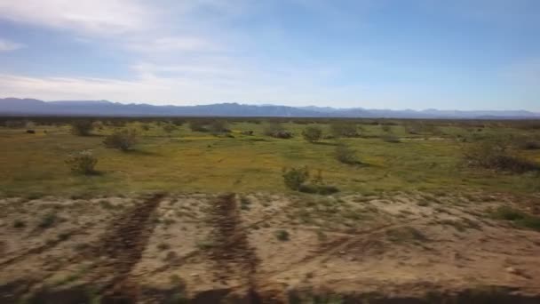 Templat Kendaraan Dengan Axis Stabilizer Desert Dirt Road View Savanna — Stok Video