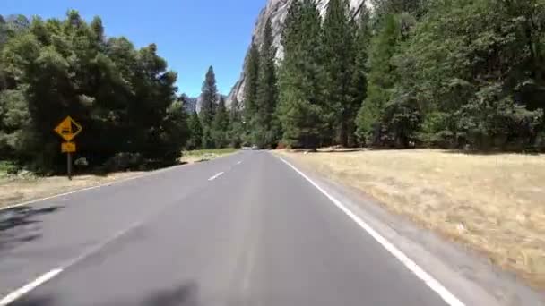 Yosemite National Park Körmall Valley Forest California Usa — Stockvideo