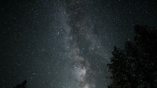 Parque Nacional Yosemite Vía Láctea Galaxy Time Lapse Alpine Forest — Vídeos de Stock