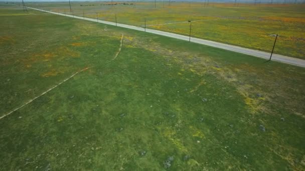 加州春季美国花卉田中的公路建设 — 图库视频影像