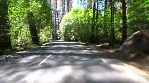 Yosemite National Park Driving Template Valley Forest Califórnia Eua — Vídeo de Stock