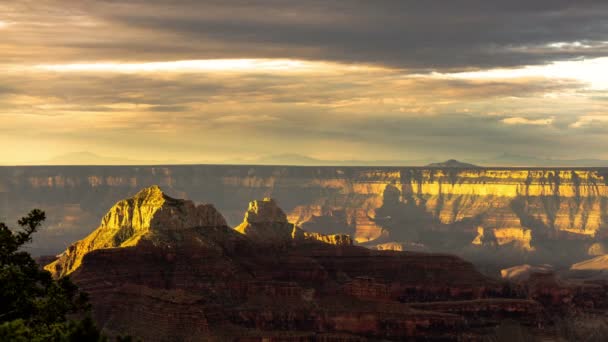 Grand Canyon North Rim Bright Angel Point Brahma Dan Kuil — Stok Video