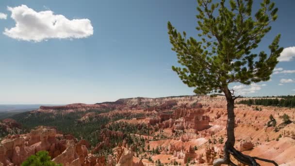 Bryce Canyon National Park Sunrise Point Hoodoos Time Lapse Exposed — Stock video