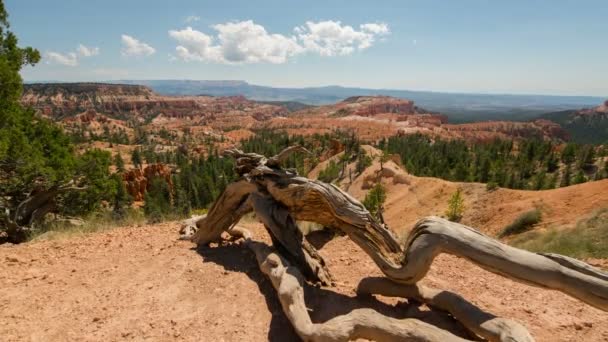 Bryce Canyon National Park Fairyland Point Sjunkande Fartyg Tid Lapse — Stockvideo