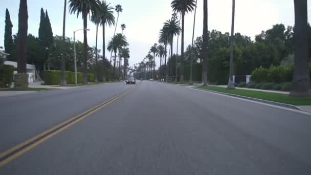 Beverly Hills Beverly Drive Daytime Driving Template Southbound Elevado — Vídeo de Stock