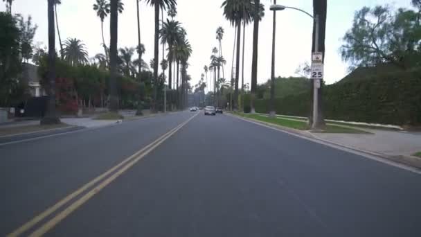 Beverly Hills Beverly Drive Tagsüber Fahrvorlage Northbound Sunset Blvd — Stockvideo