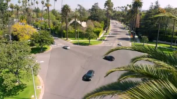 Aerial Stablish Shot Beverly Hills Palm Tree California Sua — Videoclip de stoc