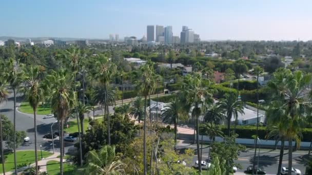 Aerial Establish Shot Beverly Hills Century City Palm Trees Forward — Stock Video