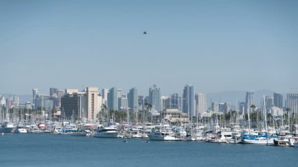 San Diego Daytime Skyline Ships Harbor Island Time Lapse California — Vídeo de stock